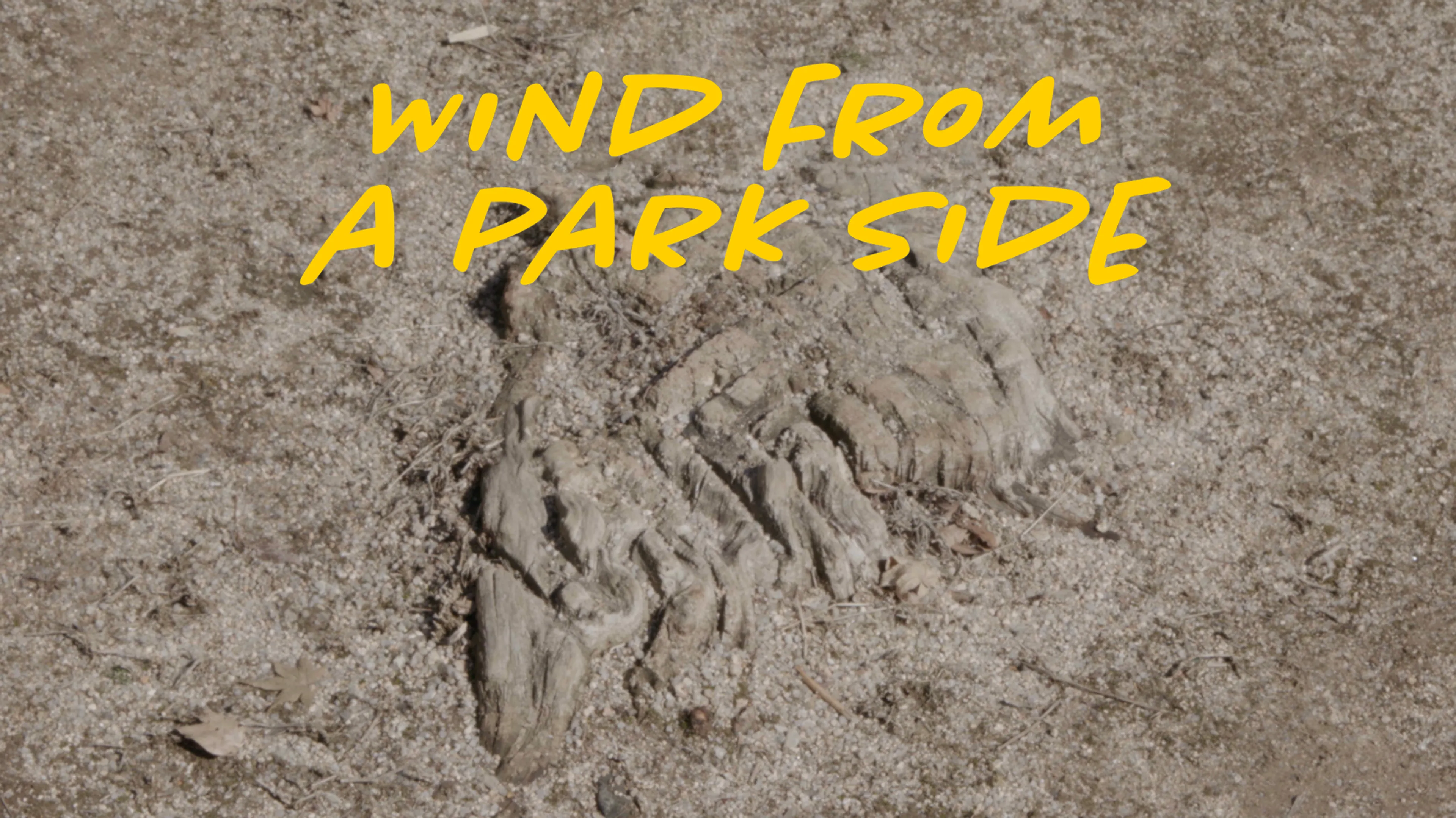 Wind from a Park Side poster